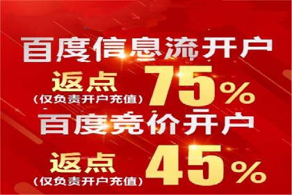 某电商平台的SEM推广策略全解析